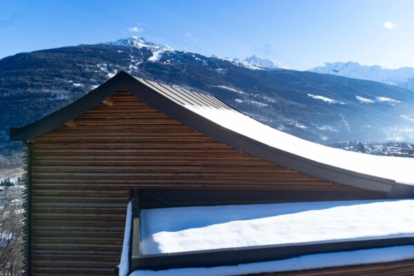 Chalet Le Cotaret