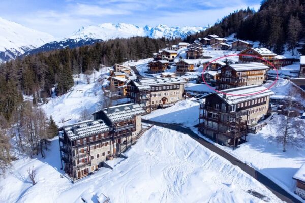La Petit Grive